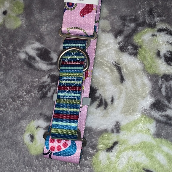 Collar - Picture 2 of 4